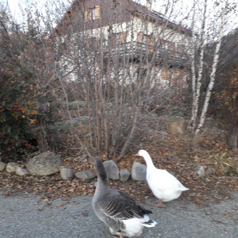 Petit appartement en montagne - Appartement - Rez-de-Chaussée - 3