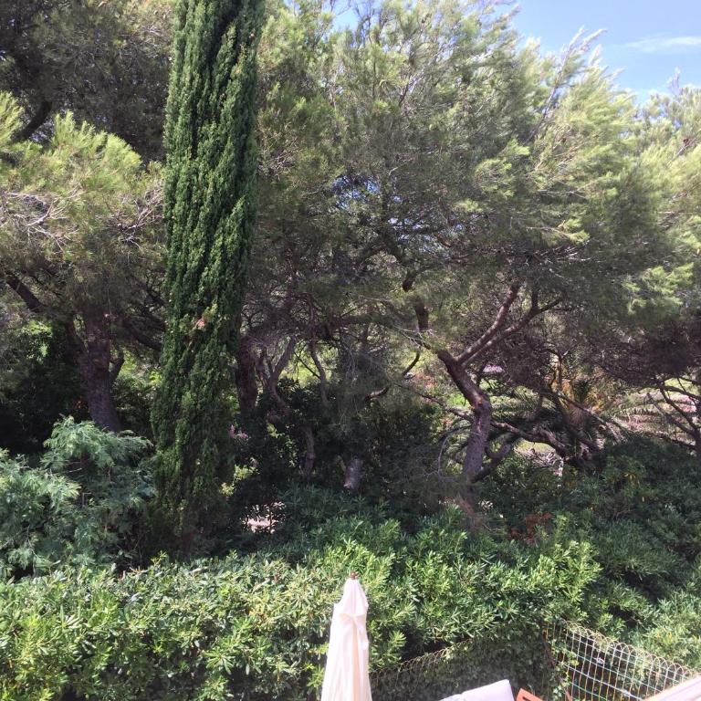 T2 de 33 m2 plus terrasse de 20m2 vue sur mer climatisé à 10 secondes chrono à pied de la plage , mer et sentier du littoral Résidence marina cap négre Six-Fours-les-Plages - Apartment mit 1 Schlafzimmer - 15