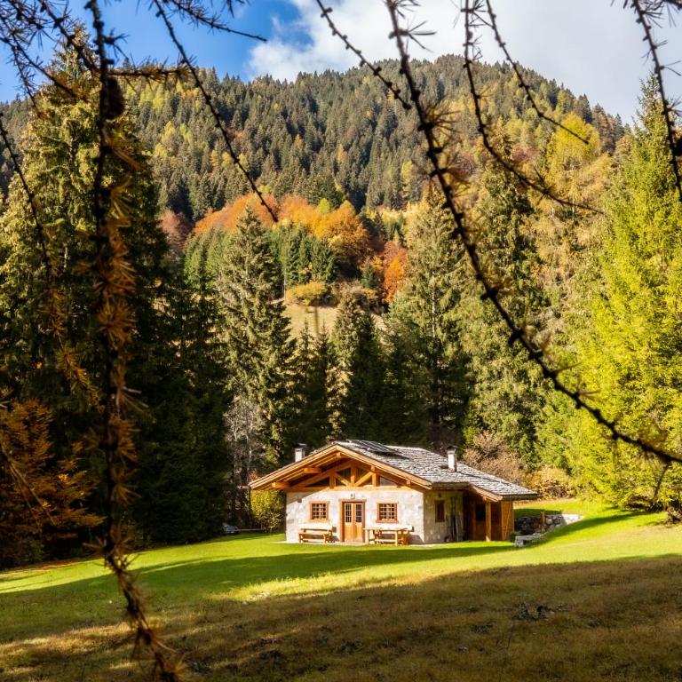 Baita Valon - Alpine Hideaway - Chalet - 2