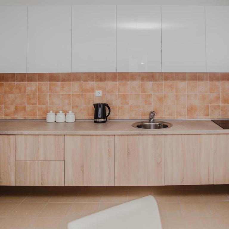 Apartman Viva - Apartman sa 1 Spavaćom Sobom - 11
