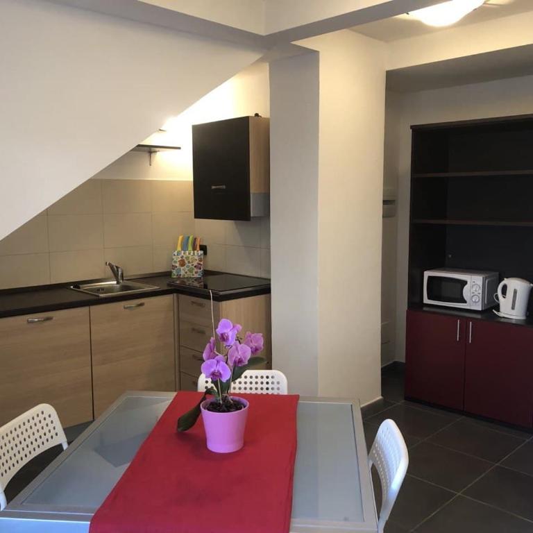 Residence Le Marmotte - Appartamento Standard - 8