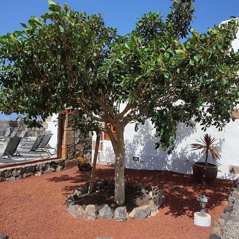 Caserío Leandro II - Villa Deluxe - 27