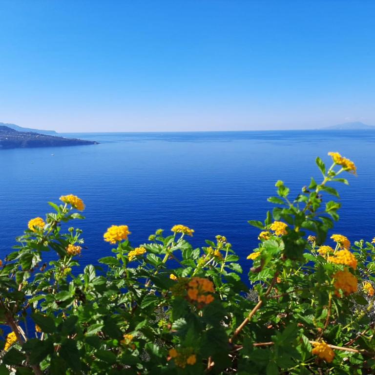Bella Vista House-Sorrento coast - free parking-solarium - Casa con 1 Camera da Letto - 9
