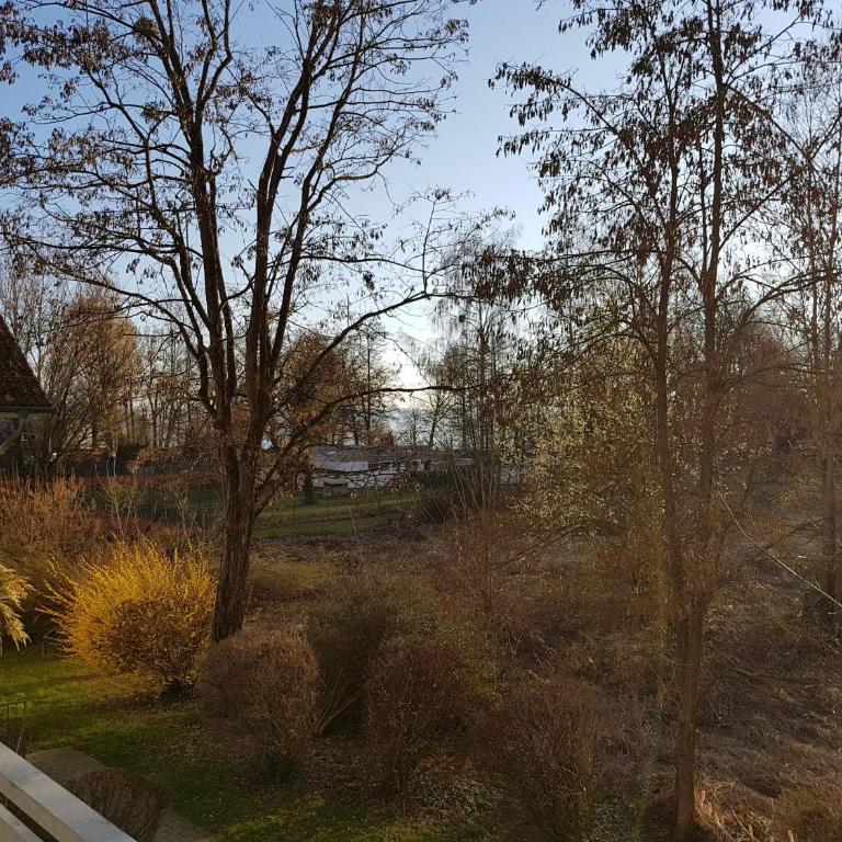 Wohnung Seerose - Appartamento con Vista Giardino - 10
