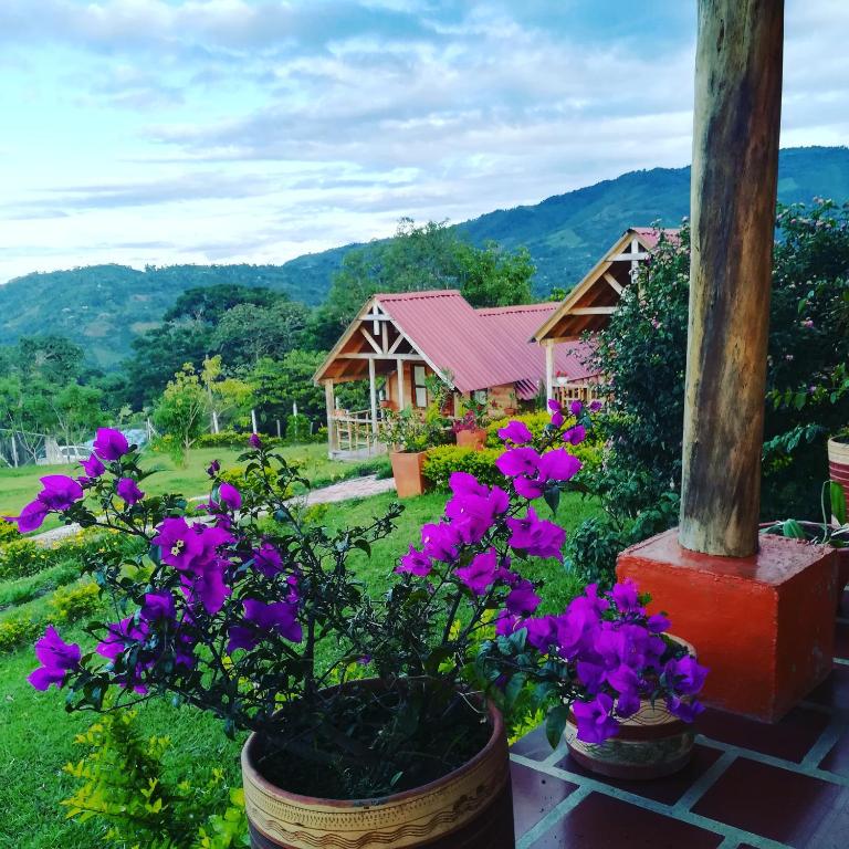 San Agustín Wayrana - Habitación Familiar con vistas al jardín - 4