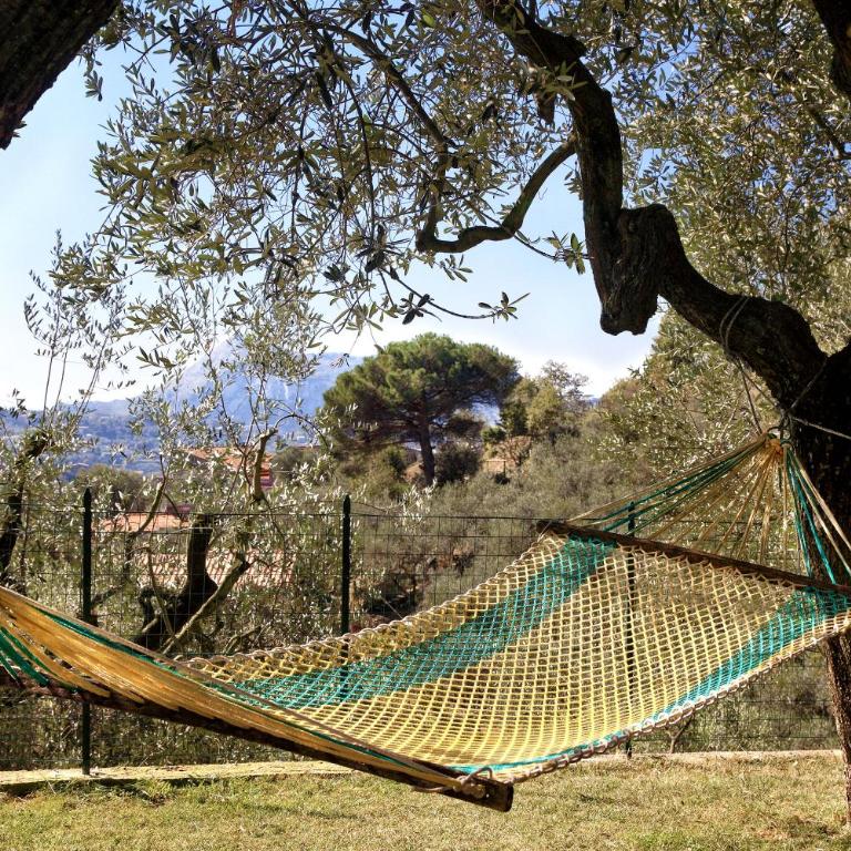 La Villa dell'Olio - Three-Bedroom Villa - 5