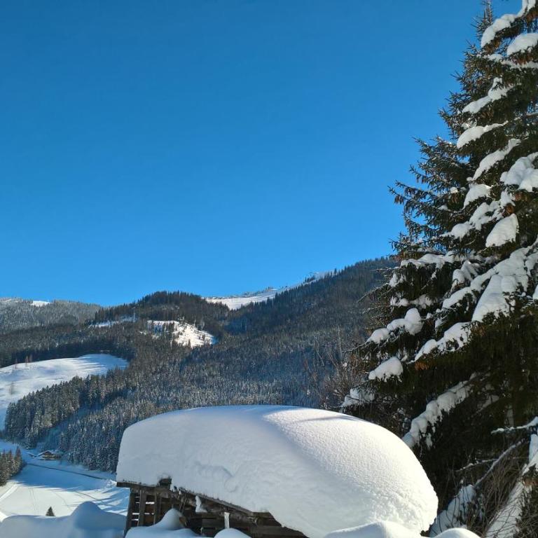 Das Hochkönig - Apartamento con terraza - Planta baja - 24