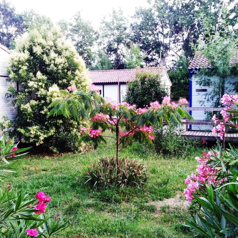 Bungalows & Rooms - Gît'Ôstal - Bungalow - 5