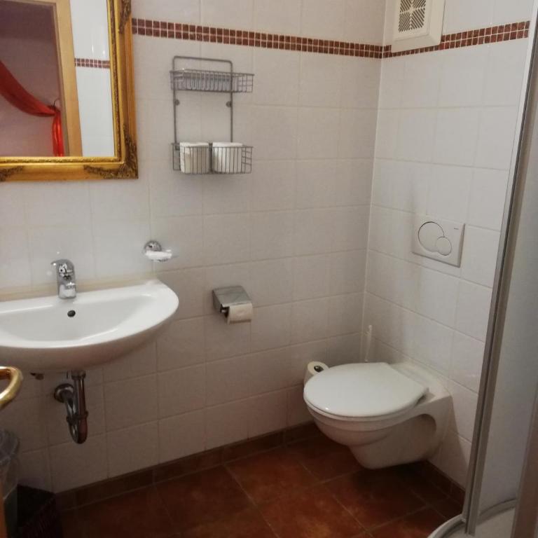 Appartementhaus Chalet Alpina - Apartamento de 2 dormitorios con ducha - 8