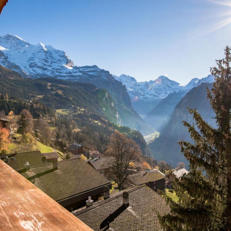 Chalet Aberot - Penthouse-Apartment - 47