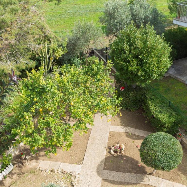 080 Casa Can Xim ETV8770 by Mallorca Charme - Casa - 8