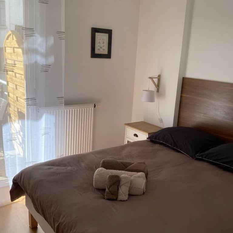 Cocon sur cour - Appartement 1 Chambre - 8