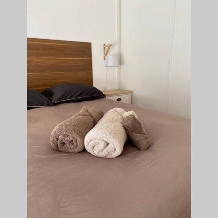 Cocon sur cour - Appartement 1 Chambre - 17