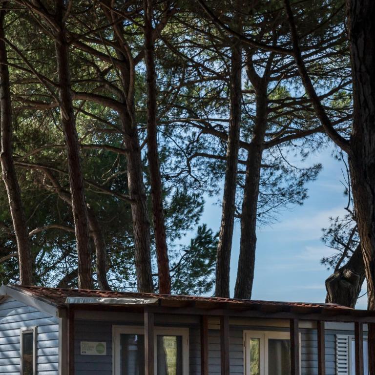 Camping Ca' Savio - Casa Mobile (5 Adulti) - 3