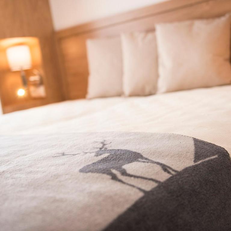 Apartment Dorf Wagrain Alpenleben by AlpenTravel - Comfort Apartment mit 2 Schlafzimmern - 1