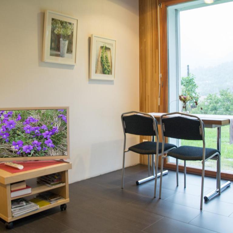Hüsmatta (Michael Gschwendtner) - Apartment - Erdgeschoss - 8