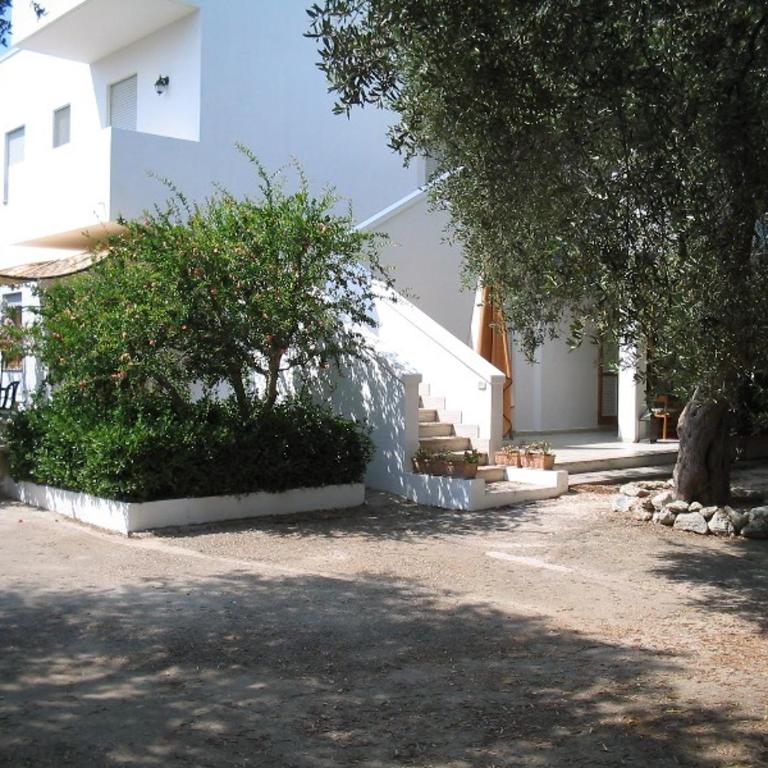 Tenuta Belvedere - Appartement Supérieur 2 Chambres - 31