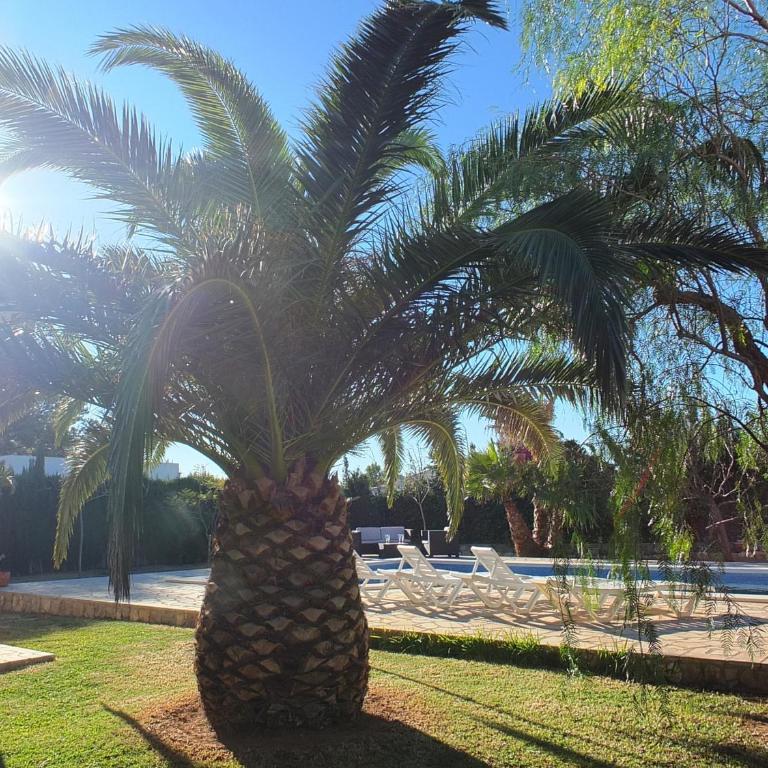 Villa Nerea with air conditioning & private swimming pool only 400m to the beach ideal for families - Villa - 9