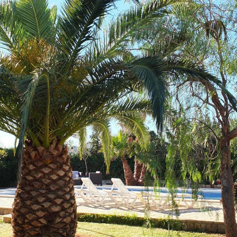Villa Nerea with air conditioning & private swimming pool only 400m to the beach ideal for families - Villa - 29