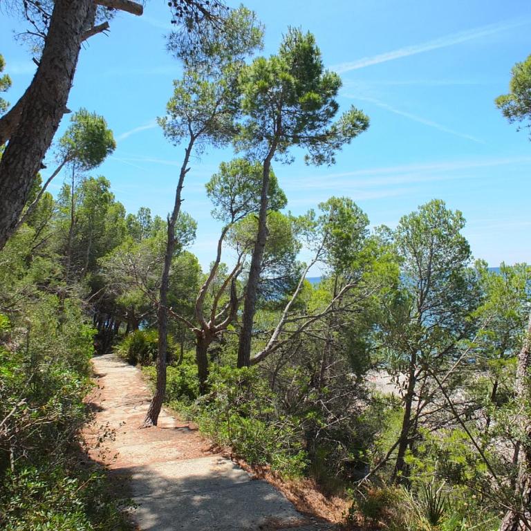 Villa Nerea with air conditioning & private swimming pool only 400m to the beach ideal for families - Villa - 59