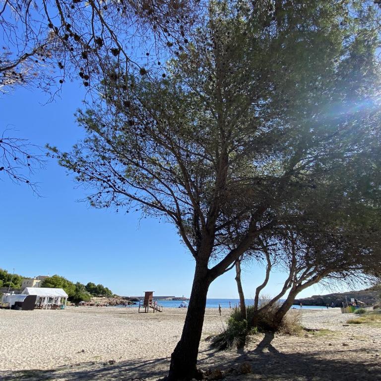 Villa Nerea with air conditioning & private swimming pool only 400m to the beach ideal for families - Villa - 91