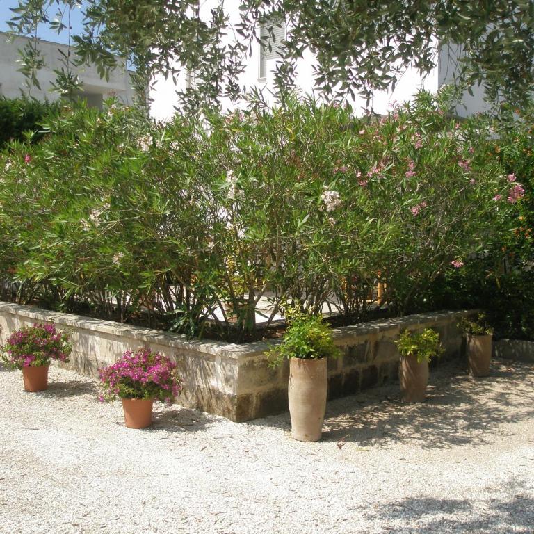 Tenuta Belvedere - Appartement Supérieur 2 Chambres - 32