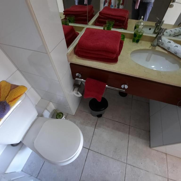 Nunca me olvides - Apartamento de 1 dormitorio - 7