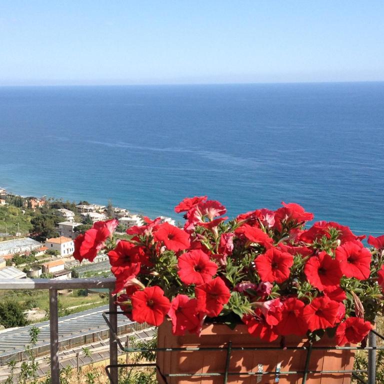 Villa Mont des Oliviers CITRA-8055LT-1805 e 1807 - Appartamento con 1 Camera da Letto - 11