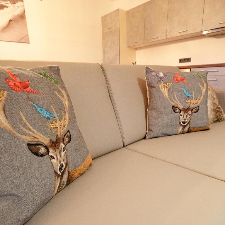 Post Residence Apartments incl ZAK SUMMER CARD by All in One Apartments - Two-Bedroom Apartment - 13
