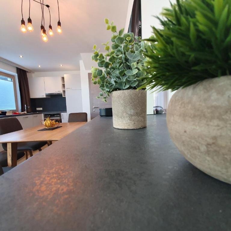 Beim Nannerl - Two-Bedroom Apartment - 3