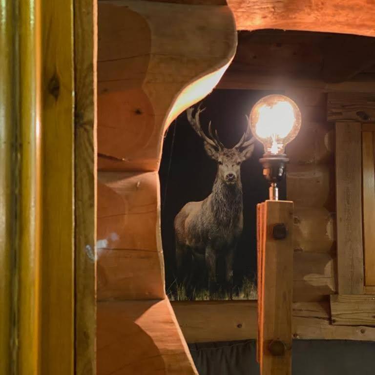 Chalet Sempre Més - Chalet - 21
