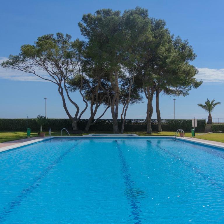 Zeus Guardamar Seaview - Apartamento con vistas al mar - 18