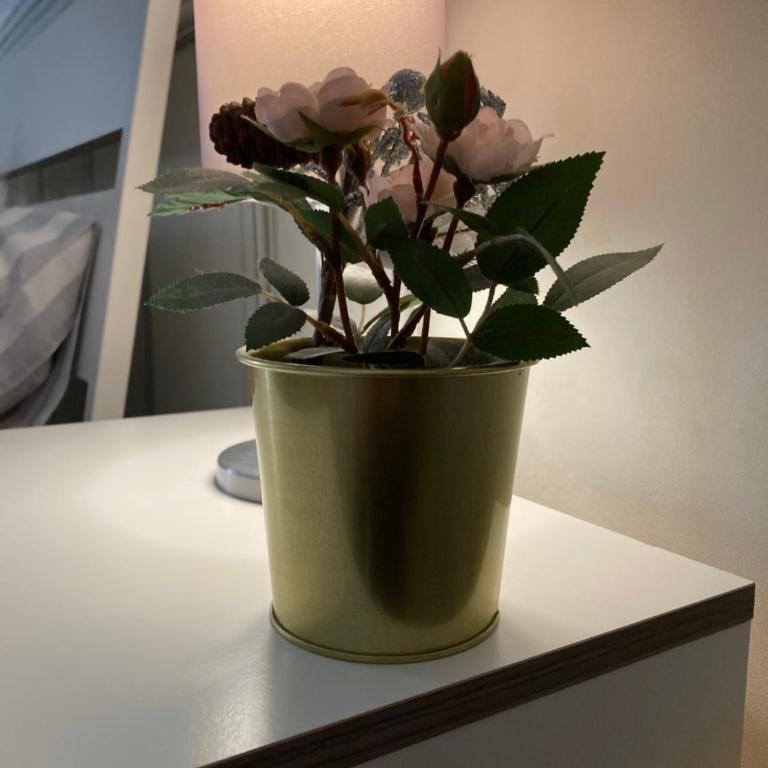 Casa- Corso Umberto - Apartment - 7