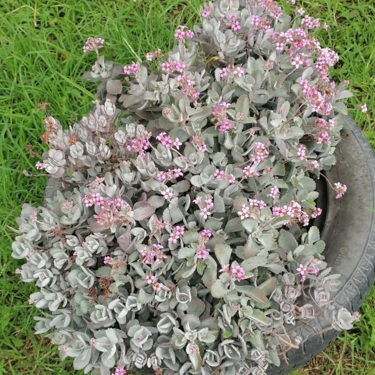 Clavellino Townhouse - Apartamento con balcón - 22