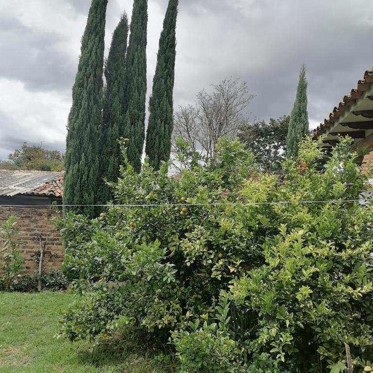 Clavellino Townhouse - Apartamento con balcón - 17