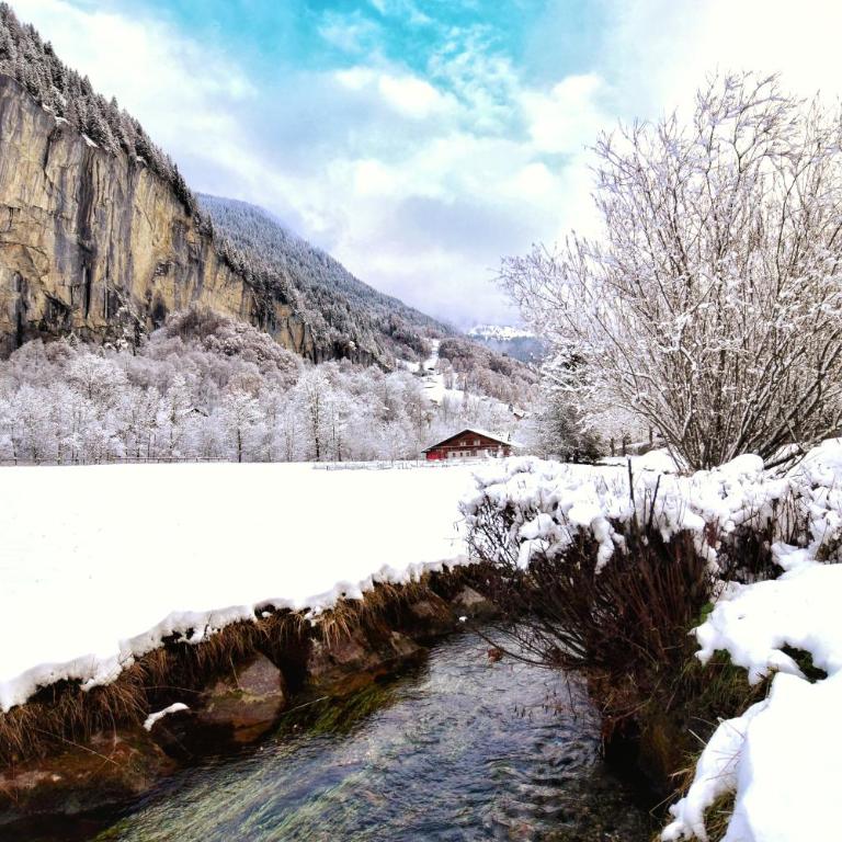 Apartment Breithorn - Charming home - free parking & Wifi - Apartment mit 1 Schlafzimmer - 46