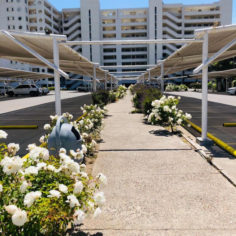 Departamento La Serena Avenida Del Mar - Apartamento con vistas al mar - 36