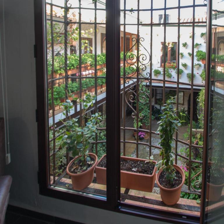 La Sultana Apartamentos - Apartamento - 4