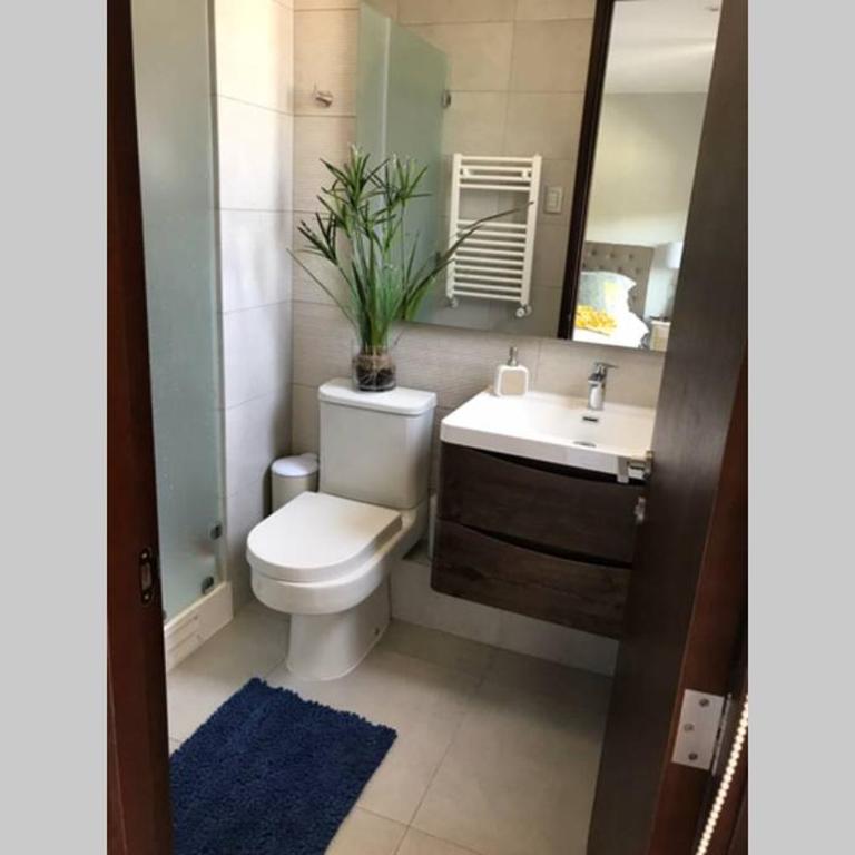 Departamento Parque Pinares Orilla de Lago Villarrica - Two-Bedroom Apartment - 10