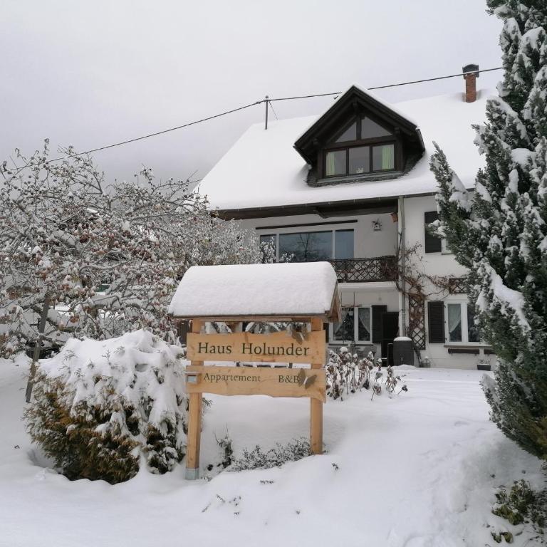 Studio Holunder Weissbriach - Studio-Apartment - 39