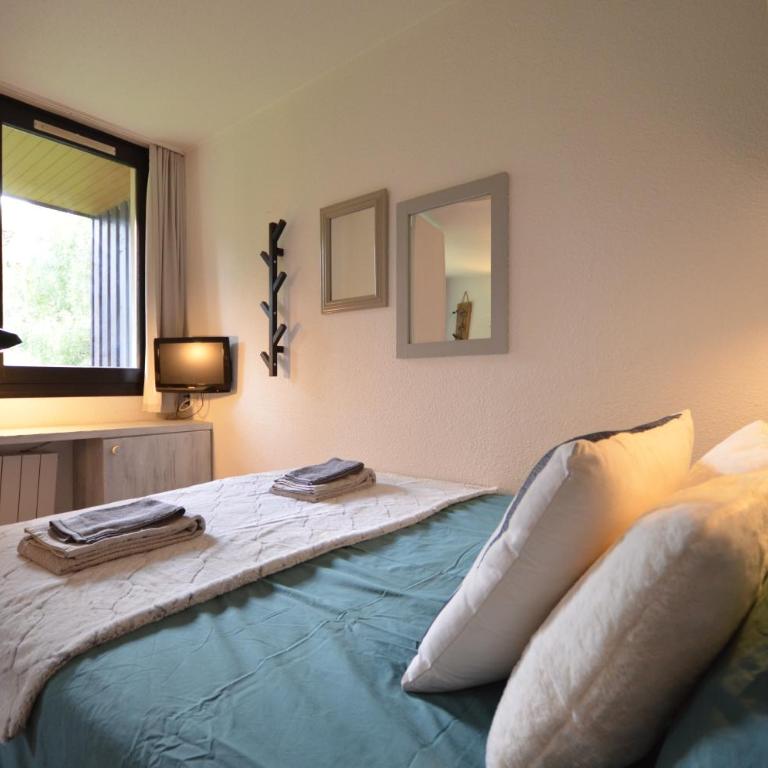 Nid douillet a proximite des pistes - Appartement 1 Chambre - 8