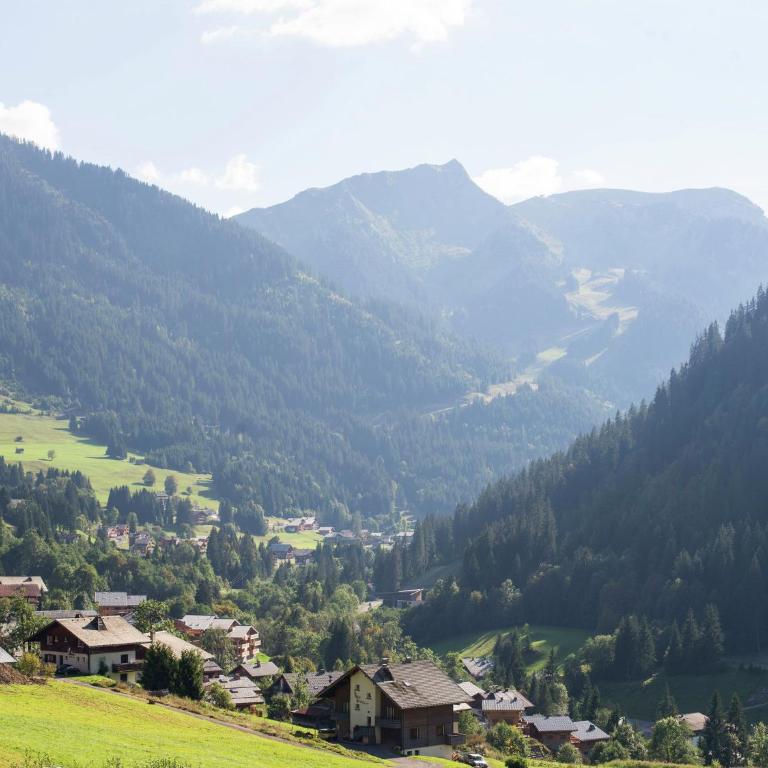 Chalet in Châtel near Les Portes du Soleil - Chalet 3 Chambres - 5