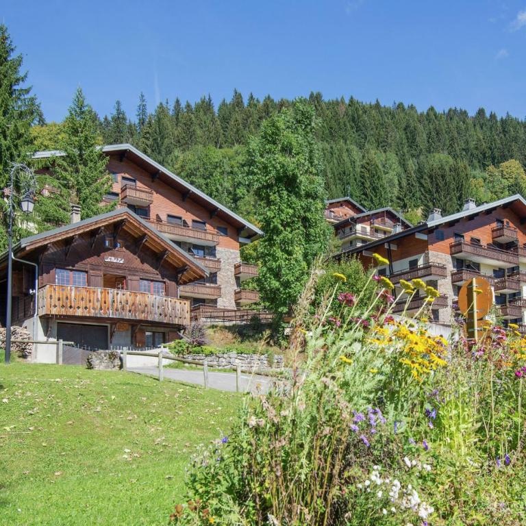 Chalet in Châtel near Les Portes du Soleil - Chalet 3 Chambres - 4