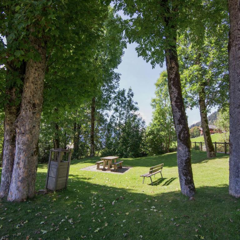 Chalet in Châtel near Les Portes du Soleil - Chalet 3 Chambres - 27