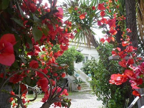 Suites Loft La Nasse - Appartamento su 2 Livelli - 1