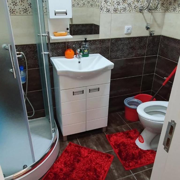 Divcibare apartmani Gavrić - Studio - 21