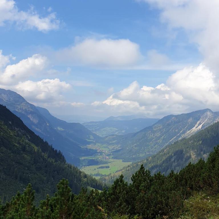 Allgäu Bergluft - Apartment - 51