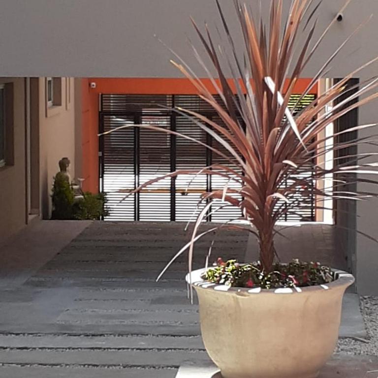 Guapa - One-Bedroom Apartment - 14