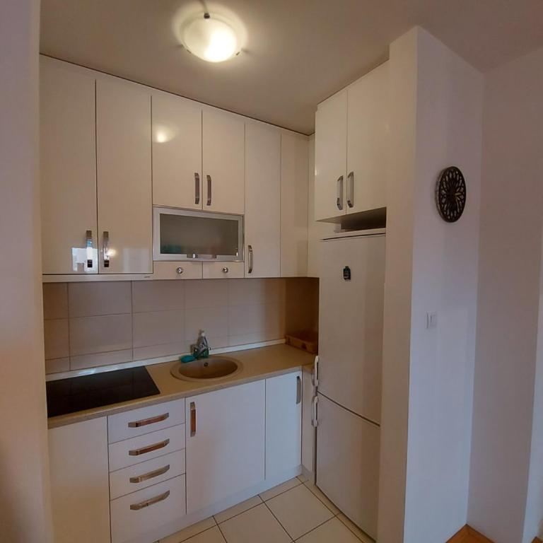 Vukov apartman S19 - Apartman sa 1 Spavaćom Sobom - 5