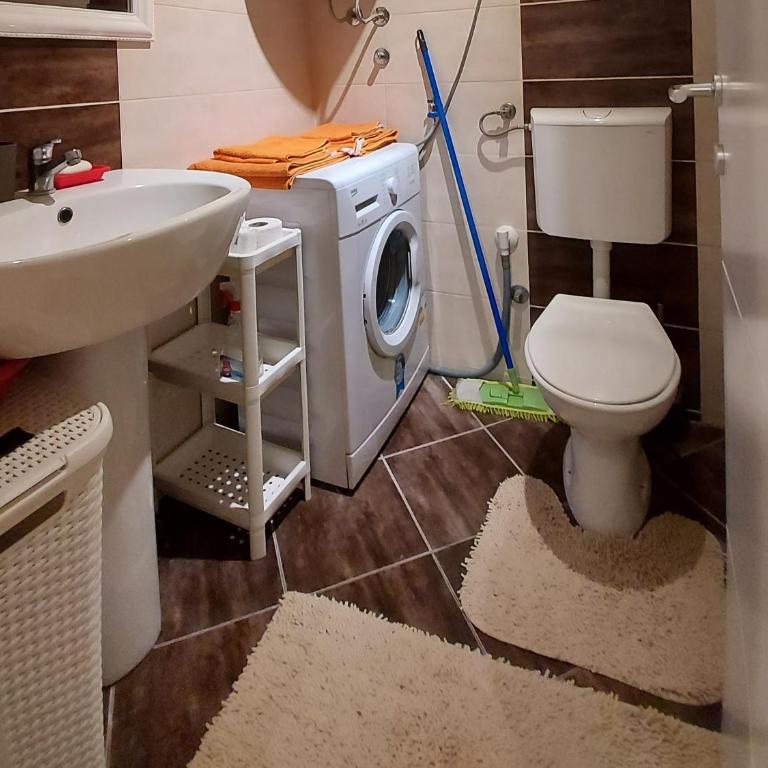 Vukov apartman S19 - Apartman sa 1 Spavaćom Sobom - 11
